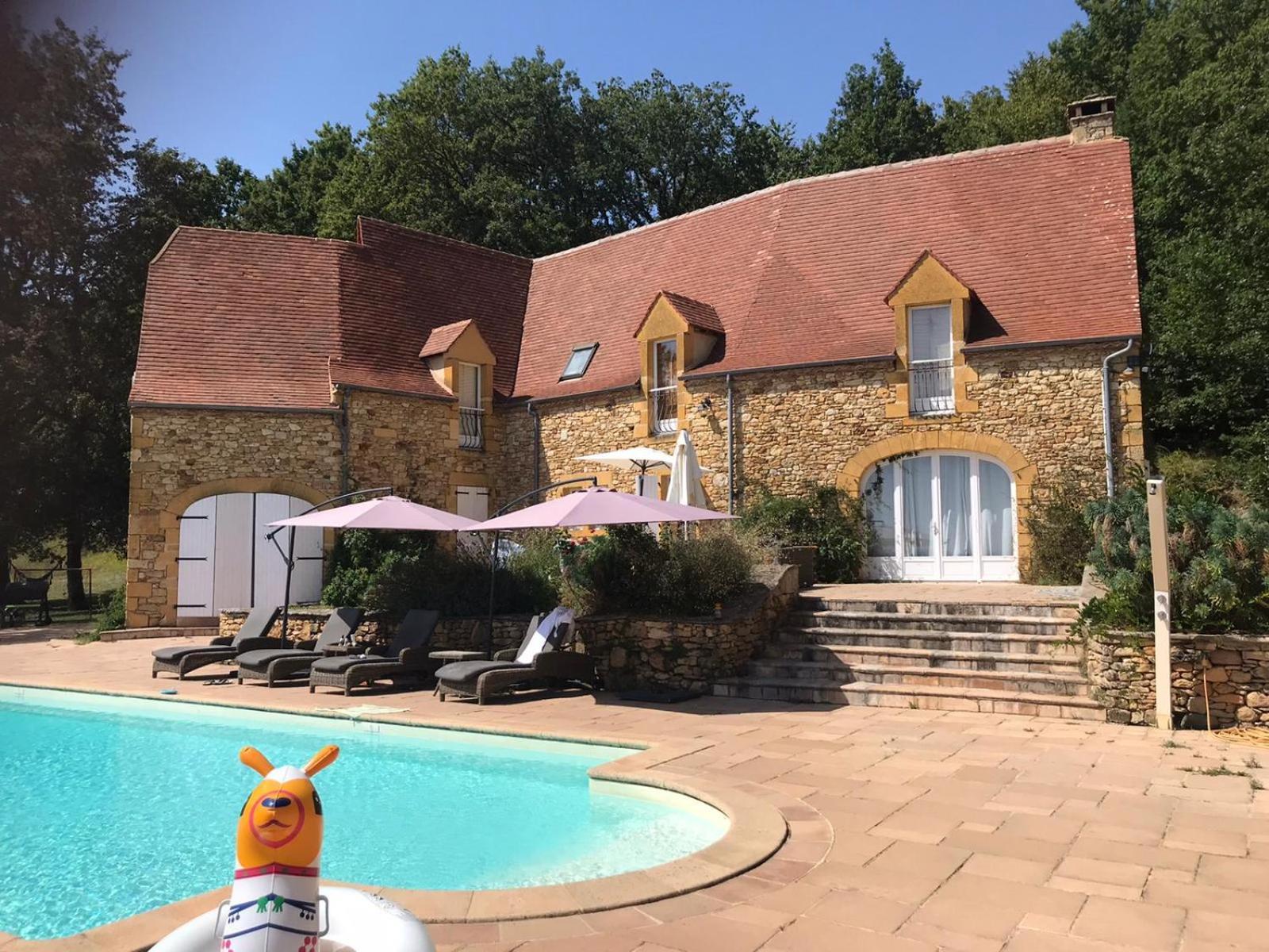 Luxury Chateau W. Pool & Hot Tub In Dordogne Beynac-et-Cazenac Bagian luar foto
